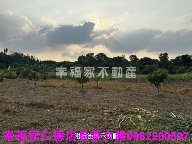 新市農地-13