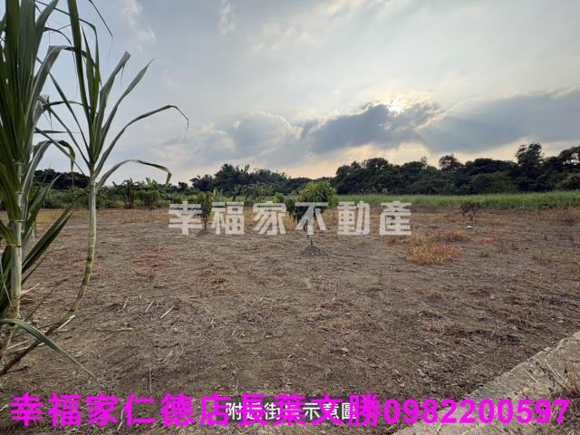 新市農地-5
