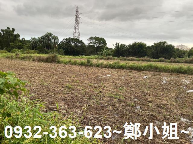 中壢農地-5