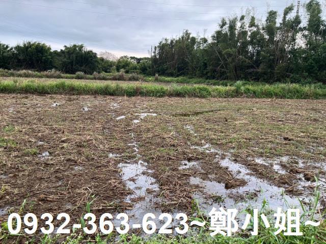 中壢農地-7