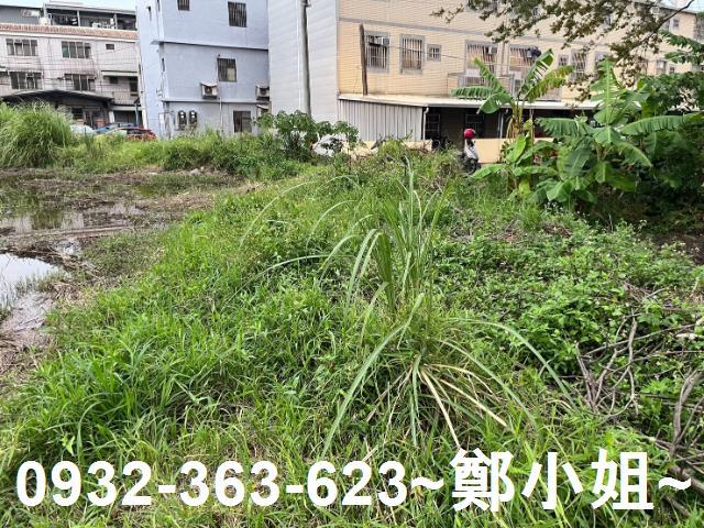 中壢農地-8