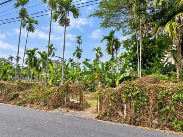 內埔農地-5