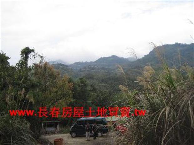 大湖農地-4